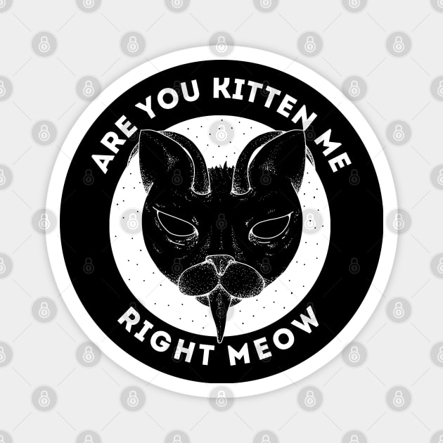 Are You Kitten Me Right Meow Magnet by silentboy